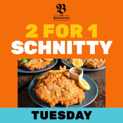 2-for-1 Schnitty Tuesday